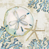 Playa Shells I Poster Print by Paul Brent # BNT1562