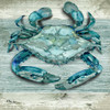 Northpoint Sealife I Poster Print by Paul Brent # BNT1532