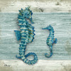 Northpoint Sealife III Poster Print by Paul Brent # BNT1534