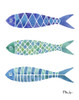 Baltic Fish Line II Poster Print by Paul Brent # BNT1525