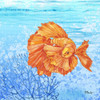Thai Betta Fish I Poster Print by Paul Brent # BNT1495