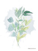 Watercolor Greenery Series II  Poster Print by Bluebird Barn Bluebird Barn # BLUE300