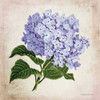 Vintage Lilac Poster Print by Bluebird Barn Bluebird Barn # BLUE399