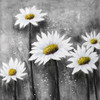 Daisies Poster Print by Atelier B Art Studio Atelier B Art Studio # BEGFLO1081