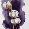 Watercolor purple cotton flowers Poster Print by Atelier B Art Studio Atelier B Art Studio # BEGFLO2522
