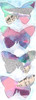 Butterfly Window Panel 1 Poster Print by Beverly Dyer # BDPL013A
