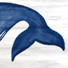 Whale Tails 3 Poster Print by Ann Bailey # BASQ075B