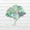 Watercolor Tree 1 Poster Print by Ann Bailey # BASQ052A