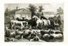 1800s Farm Animal Chart Poster Print by Gwendolyn Babbitt # BAB517