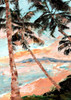Paradise Palms Poster Print by Tiffany Blaise # B3963D