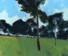 Moorland Pines Poster Print by Paul Bailey # B3787D