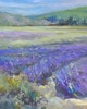 Lavender Poster Print by Allayn Stevens # AS20069