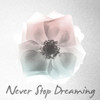 Never Stop Dreaming 1 Poster Print by Albert Koetsier # AK8SQ422A