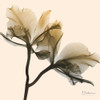 Neutral Twins 1 Poster Print by Albert Koetsier # AK8SQ221A