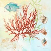 Deep Sea Coral I Poster Print by Lanie Loreth # 8598AL