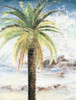 Coastal Palms II Poster Print by Patricia Pinto # 7387F