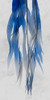 Indigo Growth 1 Poster Print by Albert Koetsier # AK8RN015A