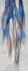 Neutral Growth 1 Poster Print by Albert Koetsier # AK8RN015A1
