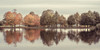 Reflection of autumn trees in a still lake Poster Print by Assaf Frank # AF20191027143