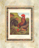 Brown Leg Horn, Cassells Poultry Book Poster Print by J.W. Ludlow # A14130