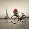 Bicycle with a basket of flowers next to the Eiffel tower Poster Print by Assaf Frank # AF201203161105C01