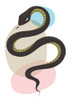 Snake Poster Print by Ayse Ayse # A671D