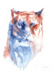 Copper and Blue Lioness Poster Print by Aimee Del Valle # 64961