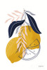 Lemons II Poster Print by Becky Thorns # 64703