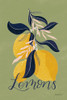 Lemons I Green Poster Print by Becky Thorns # 64704