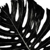 Organic Black Leaf I Poster Print by Patricia Pinto # 6786KA