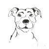 Line Dog Pitbull I Poster Print by Chris Paschke # 63686