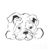 Line Dog Bulldog II Poster Print by Chris Paschke # 63550