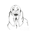 Line Dog Bloodhound II Poster Print by Chris Paschke # 63547