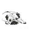Line Dog Pug II Poster Print by Chris Paschke # 63555