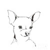 Line Dog Chihuahua Poster Print by Chris Paschke # 63551