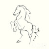 Line Horse I Poster Print by Chris Paschke # 62489