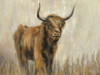 Highland Mountain Cow Poster Print by Silvia Vassileva # 62516