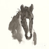 Horse Portrait III Poster Print by Chris Paschke # 62500