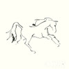 Line Horse VII Poster Print by Chris Paschke # 62495