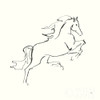 Line Horse VI Poster Print by Chris Paschke # 62494