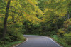 Smugglers Notch Road Poster Print by Alan Majchrowicz # 62467