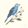 Birds and Blossoms III Poster Print by Courtney Prahl # 62482