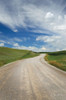 Gravel Road Near Choteau Montana II Poster Print by Alan Majchrowicz # 62461