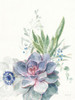 Desert Bouquet II Poster Print by Danhui Nai # 62230