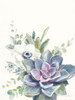 Desert Bouquet I Poster Print by Danhui Nai # 62229