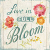 Full Bloom X Floral Poster Print by Danhui Nai # 61816