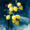 Lemon Grove I Poster Print by Julia Purinton # 61589