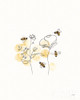 Bees and Botanicals III Poster Print by Leah York # 61504