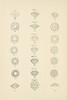 Precious Stones II Poster Print by Wild Apple Portfolio Wild Apple Portfolio # 61592