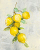 Zest I Poster Print by Julia Purinton # 61587